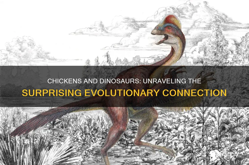 how close is a chicken to a dinosaur