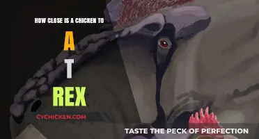 Chicken-Rex: A Surprising Evolutionary Link