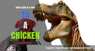 T. Rex and Chickens: Uncovering Their Surprising Genetic Connection