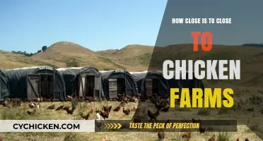 Living Near Chicken Farms: Understanding the Ideal Distance for Safety