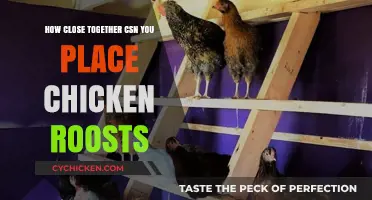 Optimal Spacing for Chicken Roosts: A Practical Guide
