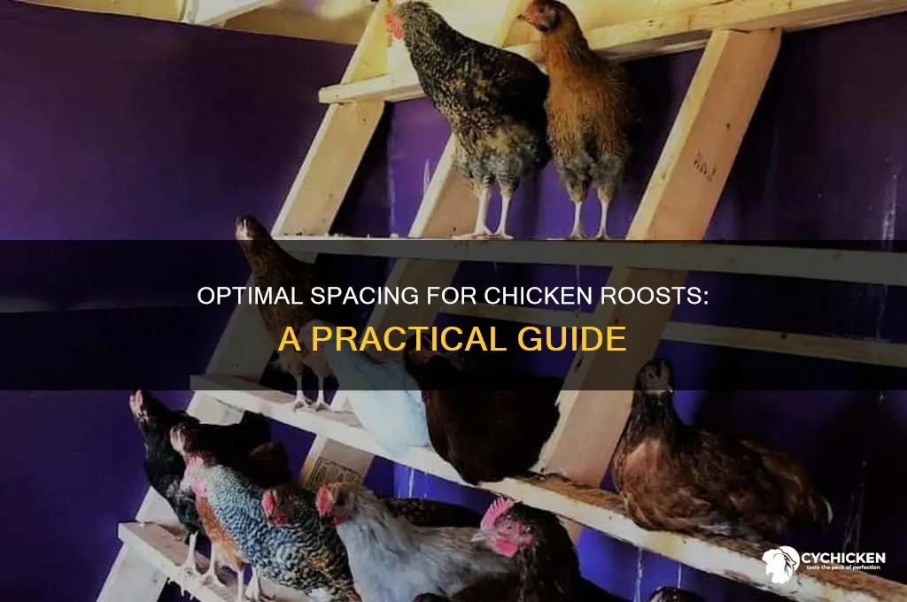 how close together csn you place chicken roosts