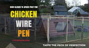 Chicken Wire Pen: Spacing and Security