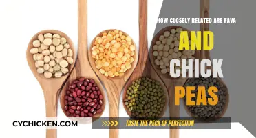 Fava vs. Chick Peas: Unraveling Their Botanical and Culinary Connections