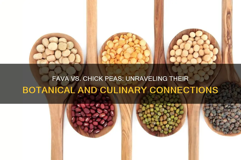 how closely related are fava and chick peas