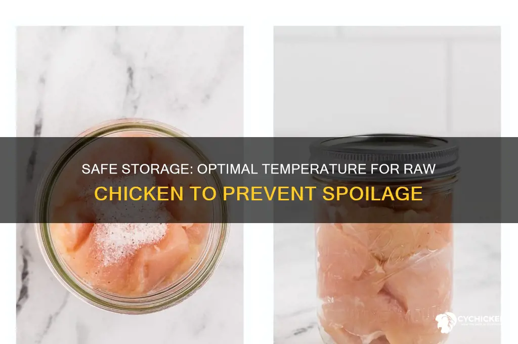 how cold does raw chicken need to be