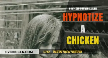 Hypnotizing Chickens: The Surprising Power of Cold Drawing a Line
