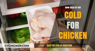 Chilling Truth: When Cold Temperatures Threaten Your Chicken Flock's Health