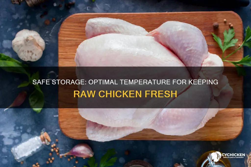how cold should raw chicken be kept