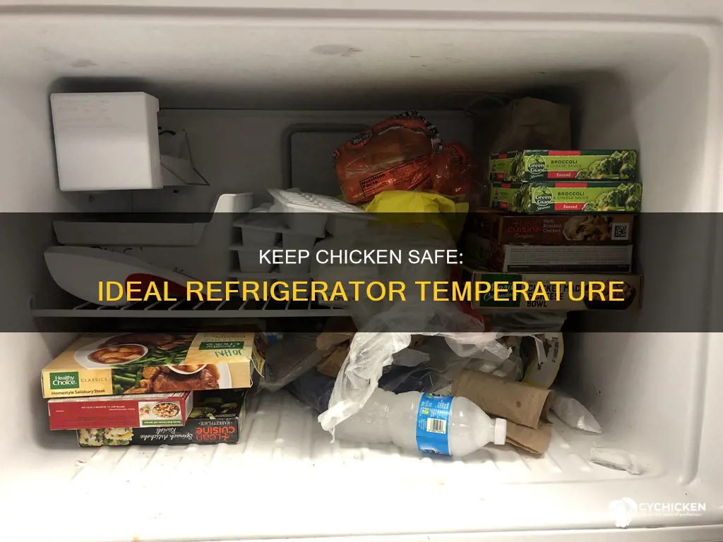 how cold to keep chicken left over to be safe