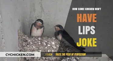 Why Chickens Lack Lips: Unraveling the Feathered Foodie Mystery