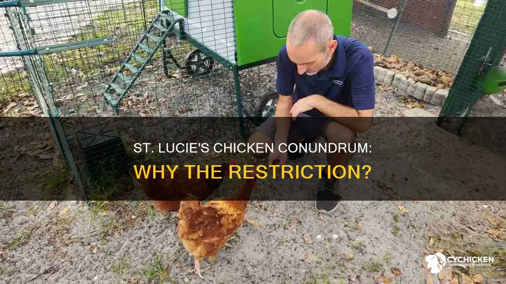 how come only some areas of saint lucie allow chicken