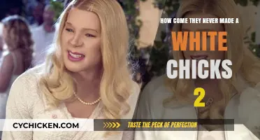 Why 'White Chicks 2' Never Happened