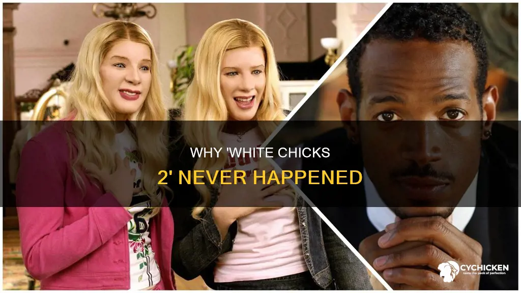 how come they never made a white chicks 2
