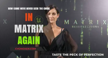 The Matrix Chick: Where Did She Go?