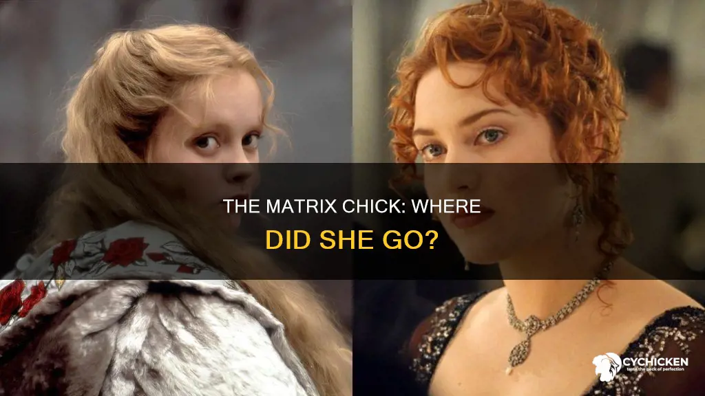 how come weve never seen the chick in matrix again