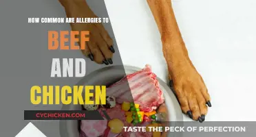 Understanding Beef and Chicken Allergies: Prevalence and Common Symptoms Explained
