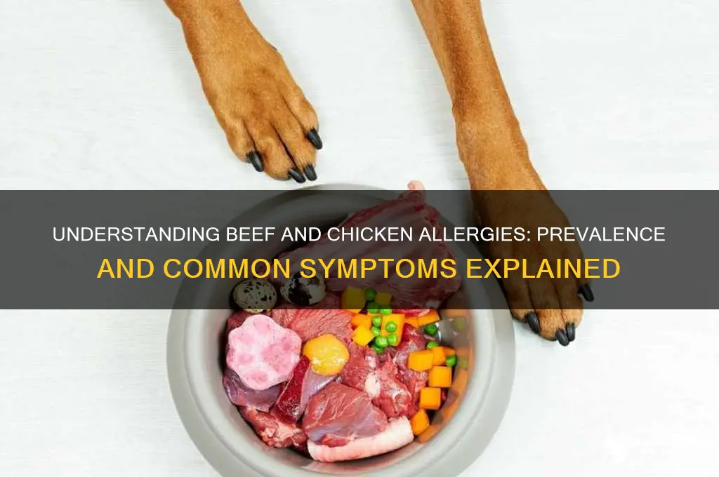 how common are allergies to beef and chicken