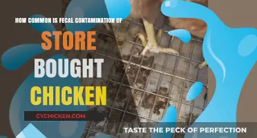 Store-Bought Chicken: Is Fecal Contamination Common?