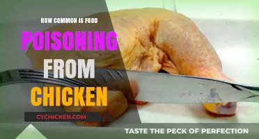 How Common is Food Poisoning from Chicken? Risks and Prevention Tips