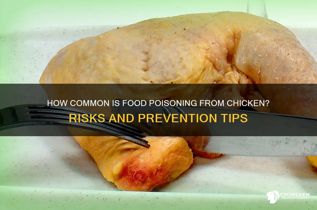 how common is food poisoning from chicken