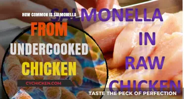 Undercooked Chicken and Salmonella: How Common is the Risk?