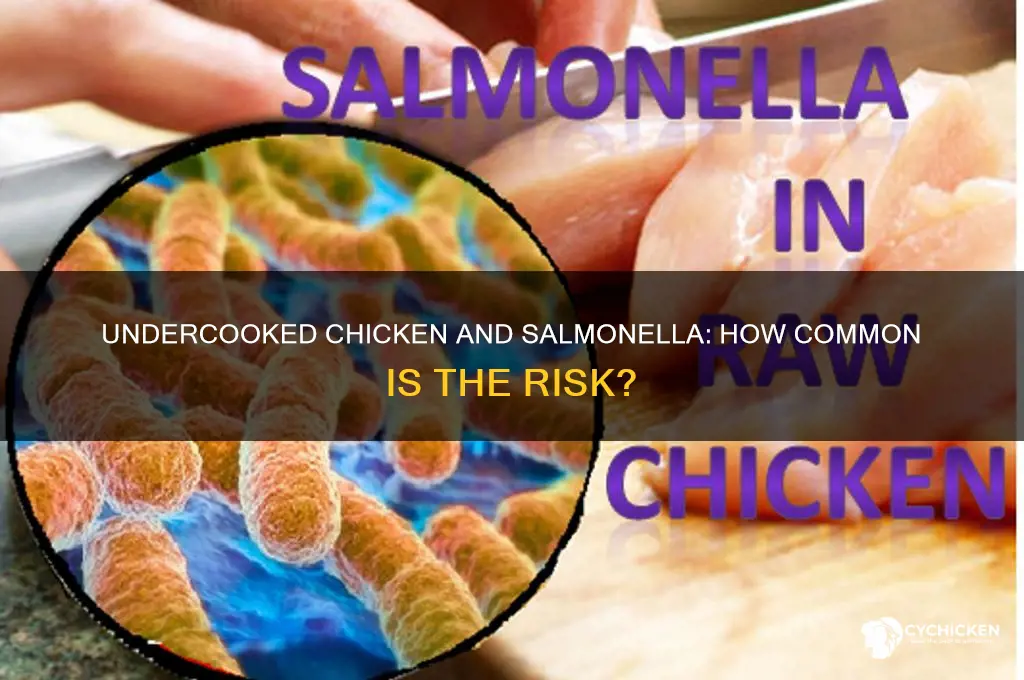 how common is salmonella from undercooked chicken