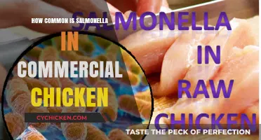 Salmonella Risks in Commercial Chicken: How Common Is It?