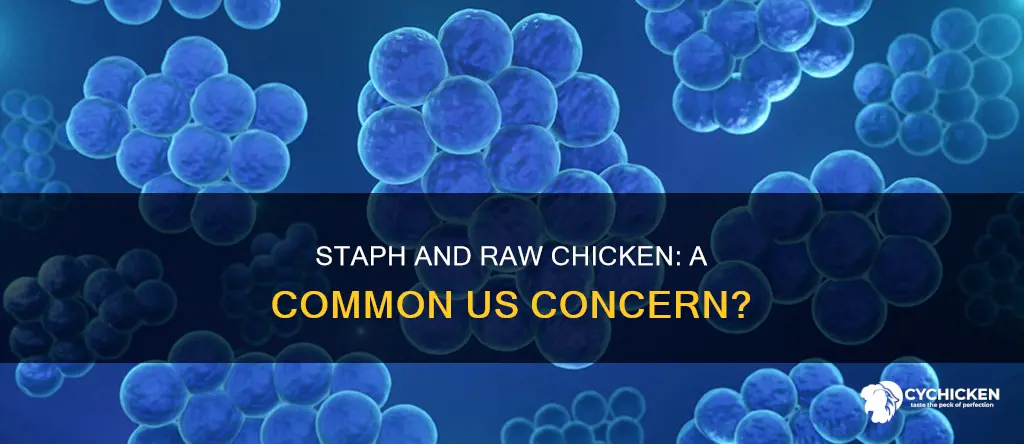 how common is staph on raw chicken in the us