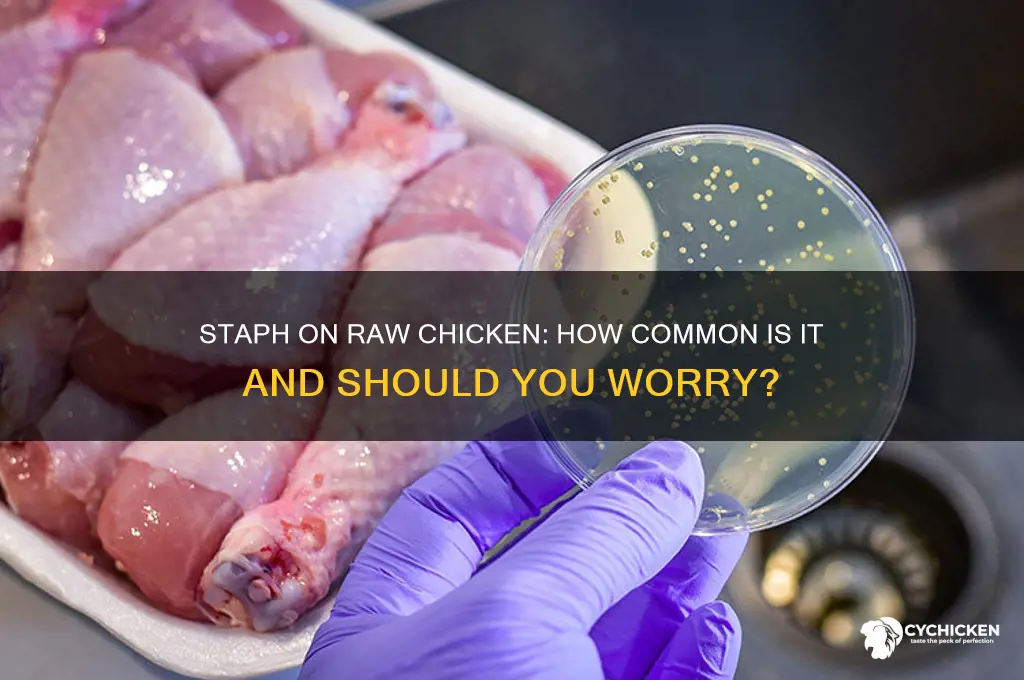 how common is staph on raw chicken