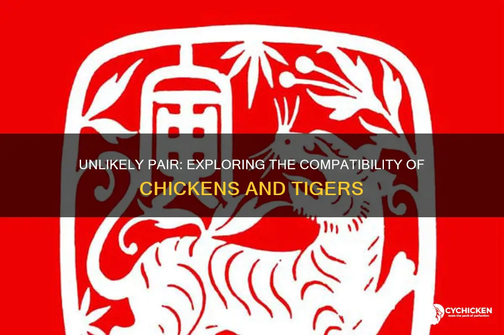 how compatanlr are a chicken and tiger
