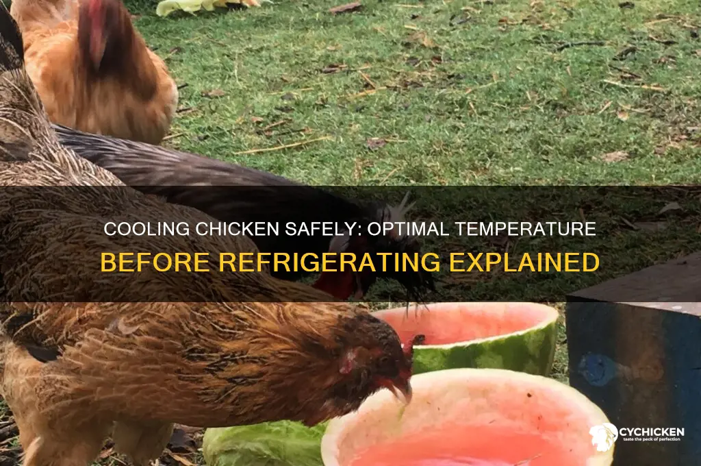 how cool does chicken be before refrigerating