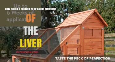 Chicken Coops and Liver Damage: What's the Link?