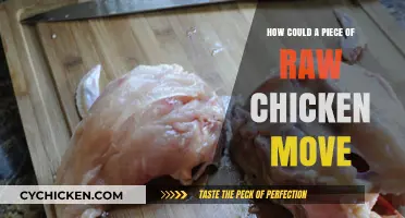 Mysterious Movement: Unraveling the Raw Chicken's Unexpected Journey