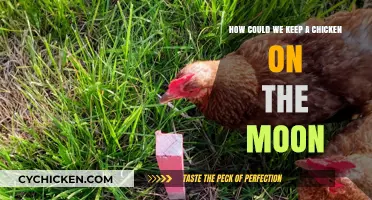 Chicken on the Moon: A Sustainable Habitat?