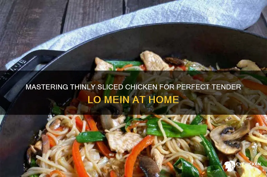 how cut chicken thin tender lo mein