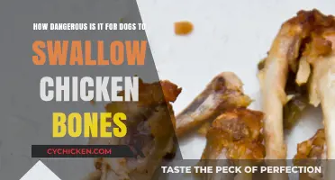 Chicken Bones: A Dog's Deadly Treat