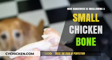 Swallowing a Small Chicken Bone: Risks, Symptoms, and Safe Remedies