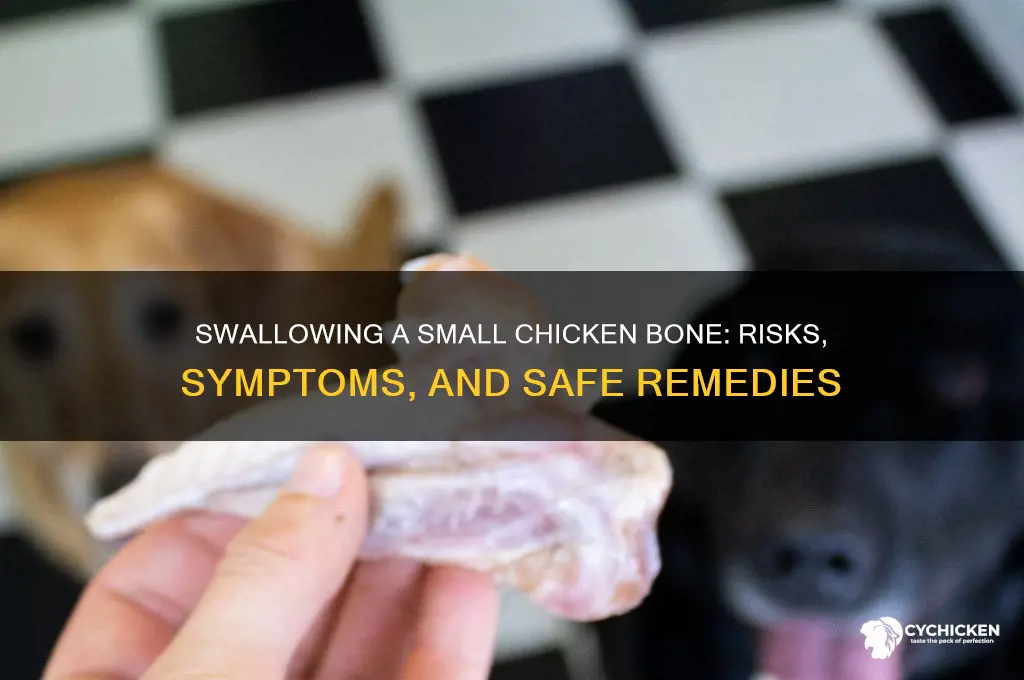 how dangerous is swallowing a small chicken bone