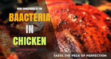 Understanding the Risks: How Dangerous is Bacteria in Chicken?