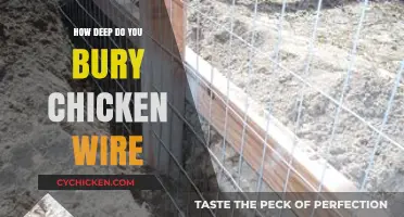 Burying Chicken Wire: Optimal Depth for Effective Garden Protection