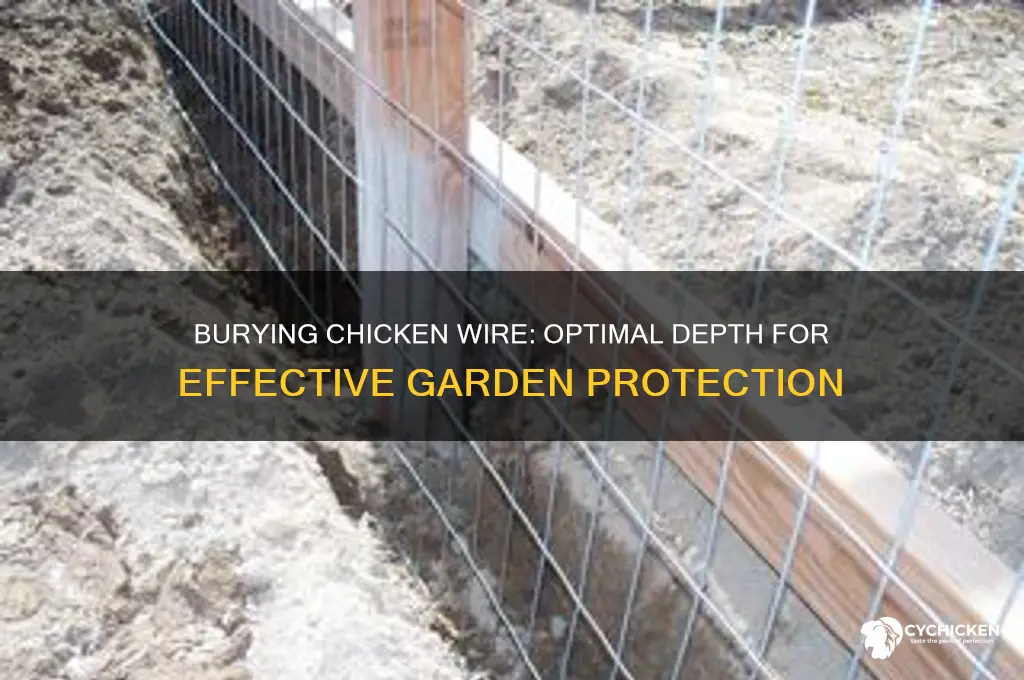 how deep do you bury chicken wire