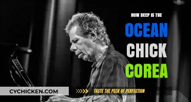 Exploring the Depths of Chick Corea's Ocean: A Jazz Odyssey