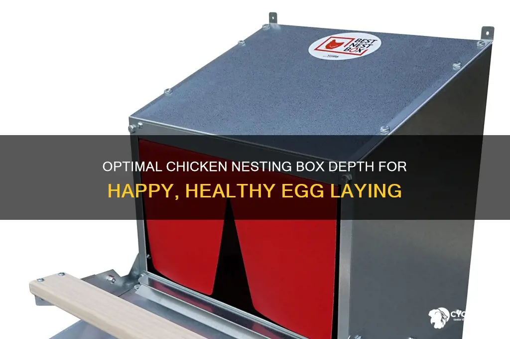 how deep should a chicken nesting box be