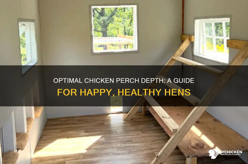 how deep should a chicken perch be
