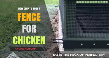Optimal Fence Burial Depth for Secure Chicken Enclosures: A Guide