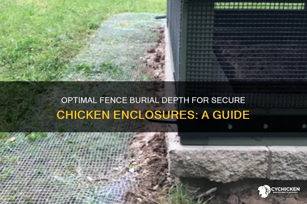 how deep to bury a fence for chicken