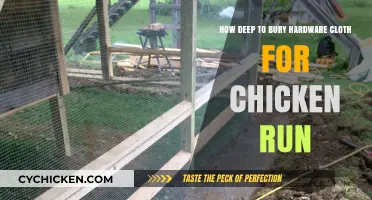 Best Practices for Burying Hardware Cloth in Chicken Runs