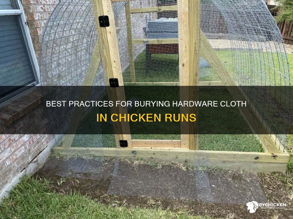 how deep to bury hardware cloth for chicken run