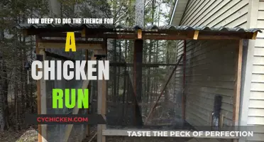 Digging Trenches for Chicken Runs: How Deep Should You Go?